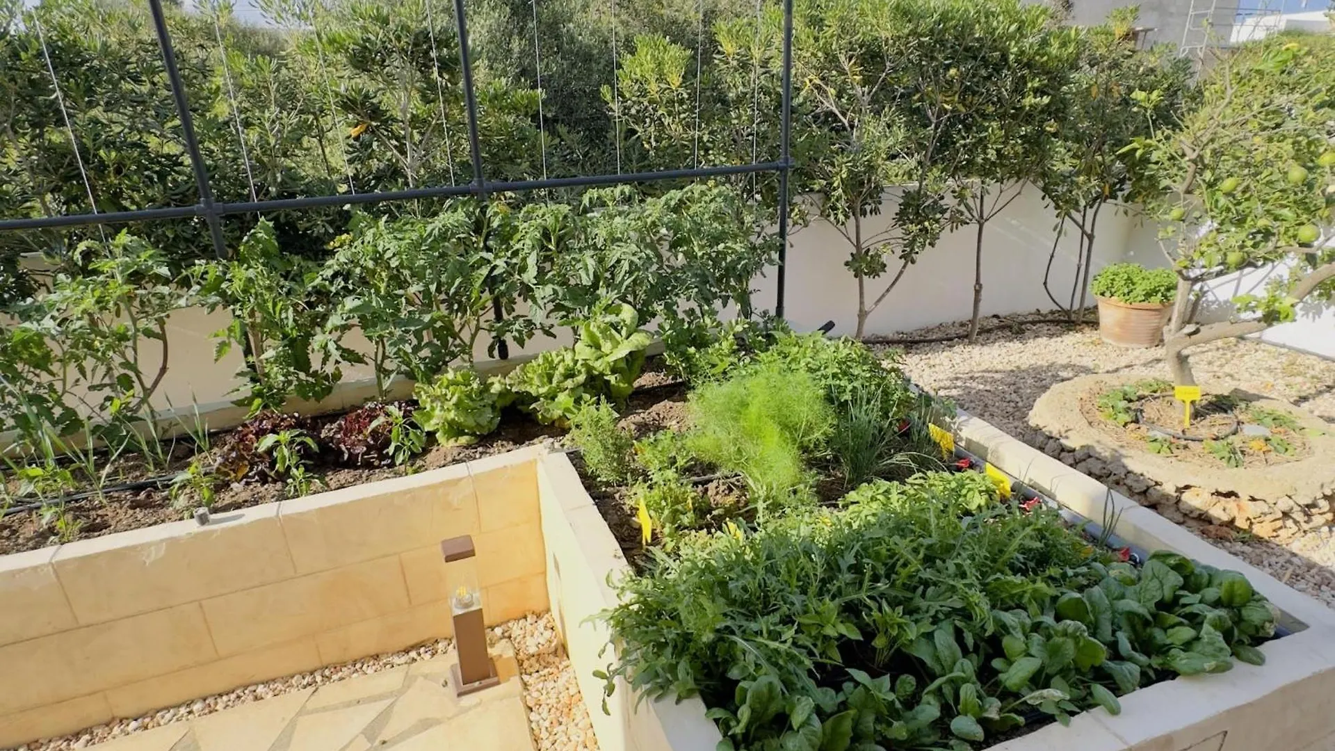 Apartman Villa Rafael Muy Tranquilo Y Piscina Privada Punta Prima
